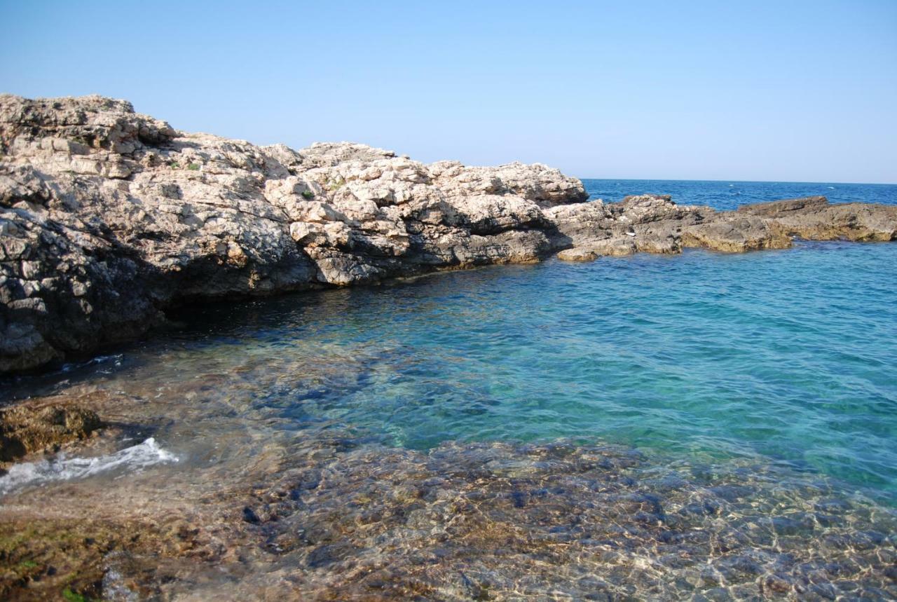 Eagle'S Nest Villa Polignano a Mare Luaran gambar